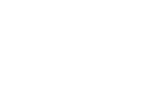 CI Logo